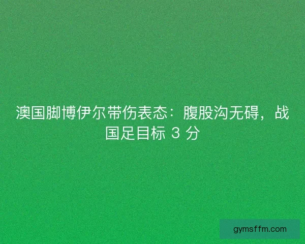 澳国脚博伊尔带伤表态：腹股沟无碍，战国足目标 3 分