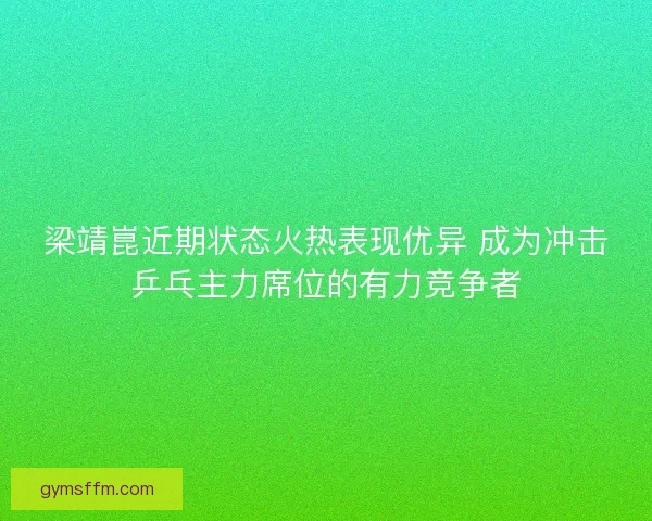 梁靖崑近期状态火热表现优异 成为冲击乒乓主力席位的有力竞争者