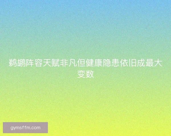 鹈鹕阵容天赋非凡但健康隐患依旧成最大变数